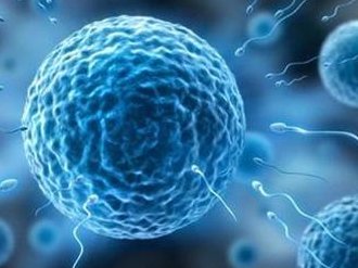 延吉试管婴儿多少钱？第3代试管婴儿花销是贵的吗？