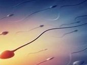 长沙人工授精费用是多少？哪些情况适合做人工授精？