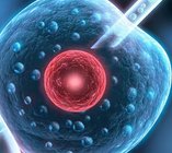 赴泰国做三代试管婴儿要多少钱？附费用一览表!