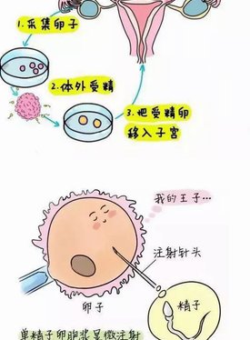 胚胎移植前，身体满足哪些条件后的成功率会更高？