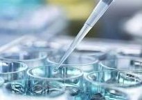 试管短方案促排六天返院后医生谈话是什么意思？