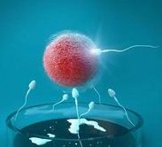 海口哪家三代试管医院成功率高？哪些医院位居前列！