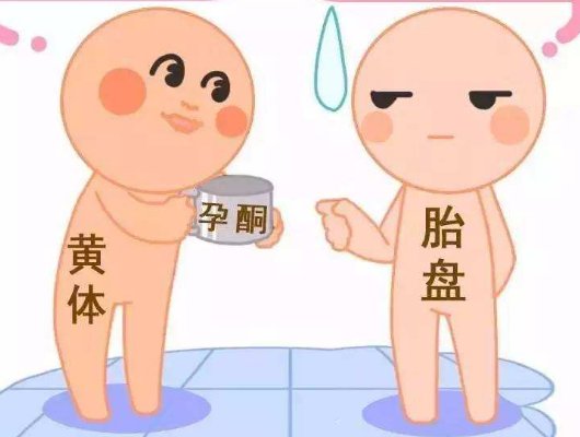 有名的乌克兰试管婴儿专家有哪些？