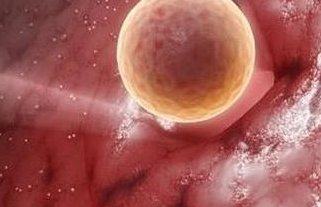 一直不怀孕怎么办？应该怎么做？