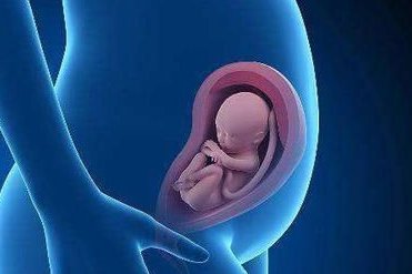 鲜胚用来冷冻胚胎还是养囊胚的好？