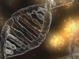 北大医院做试管怎么样？北大医院试管婴儿费用多少？